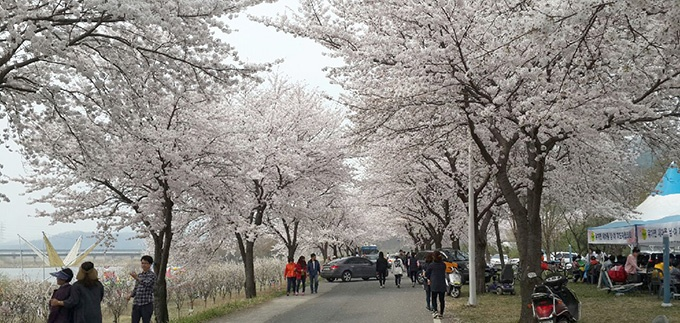 대구 달창저수지 (경남): 5km의 압도적 터널